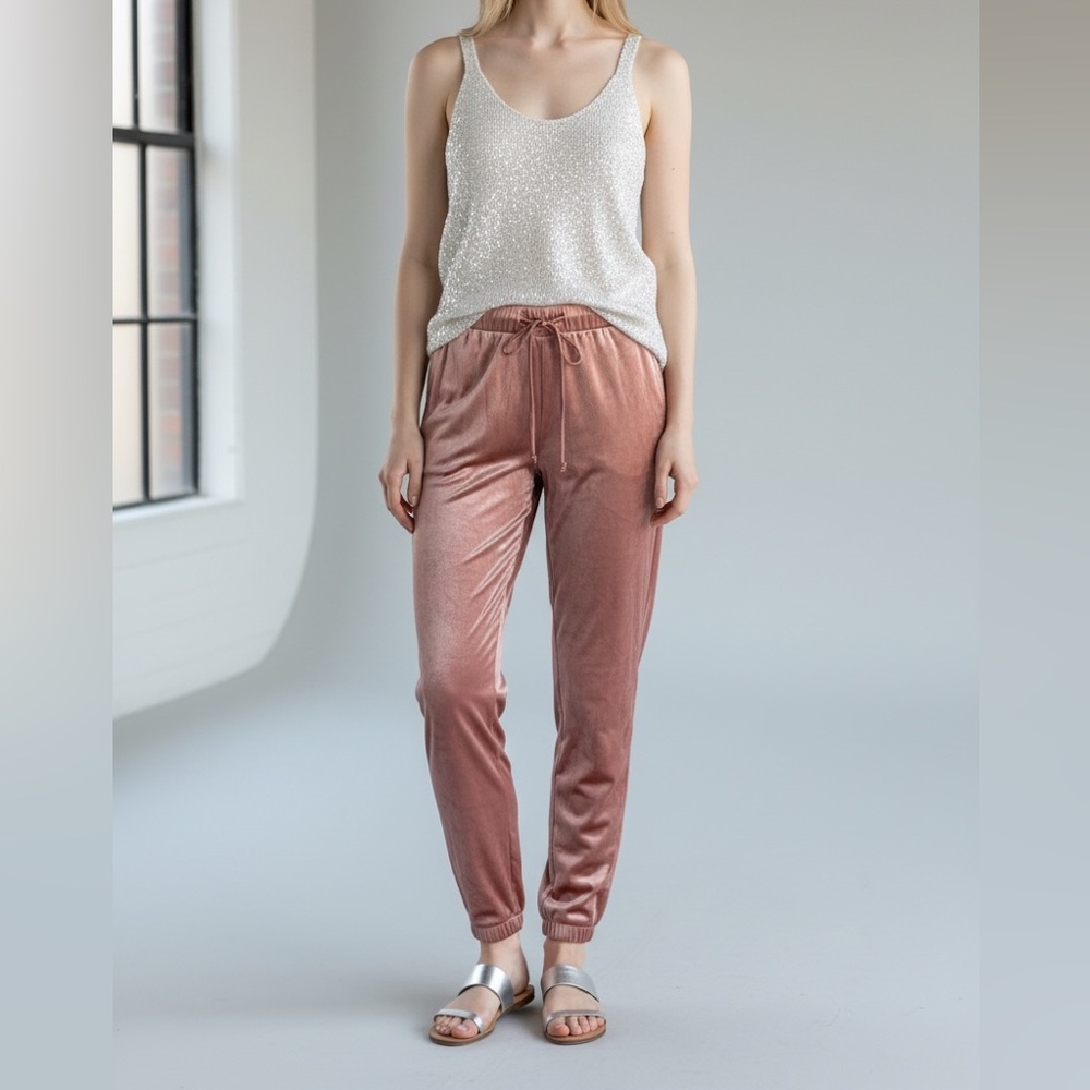 NWT Active USA Mauve Pink Shiny Velvet Velour Pants Joggers M